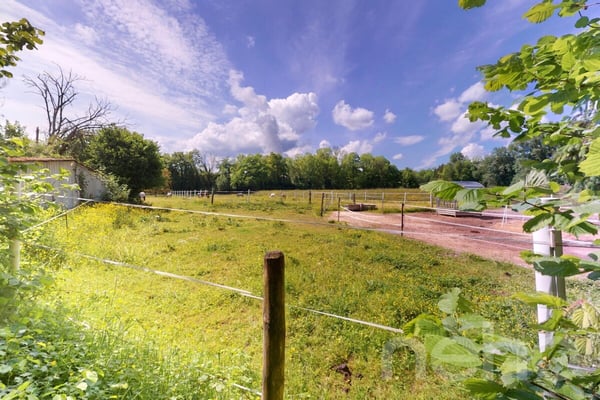 Zweifamilienhaus im Grünen mit 400 m² gewerblich nutzbarem Schuppen 12