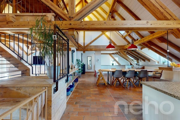 Magnifique duplex familial sous les toits 3