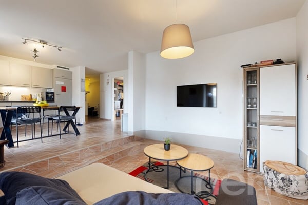 Charmant 3.5 pièces avec grand jardin au centre de Riddes 3