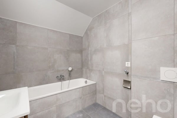 Lumineux 3.5 pièces avec galetas privatif 10