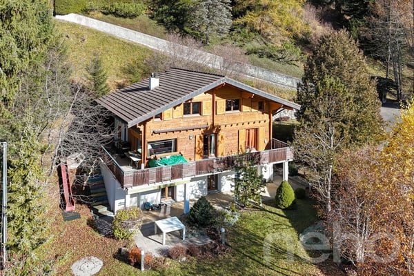 Propriété d'exception - Gryon - Chalet de 8 pièces 1