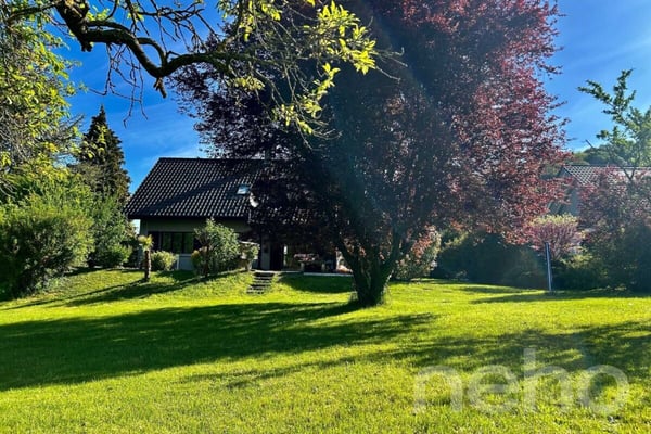 Maison individuelle sur un grand terrain 12