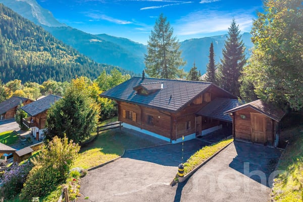 Chalet aux Diablerets | Authentique ? Lumineux ? Paisible ? Secondaire 1