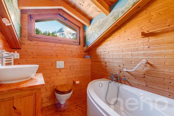 Chalet aux Diablerets | Authentique ? Lumineux ? Paisible ? Secondaire 11