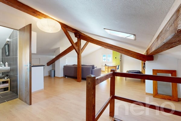 Charrat - Villa 7 pièces et studio dans les combles 11