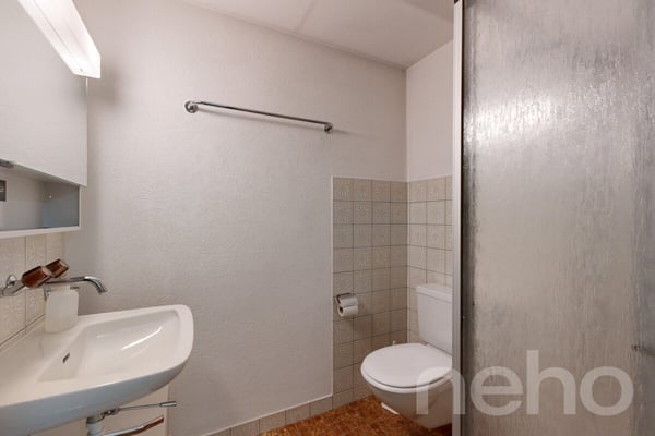 5.5-Zimmer-EFH mit Garten, Doppelgarage und viel Potenzial 11
