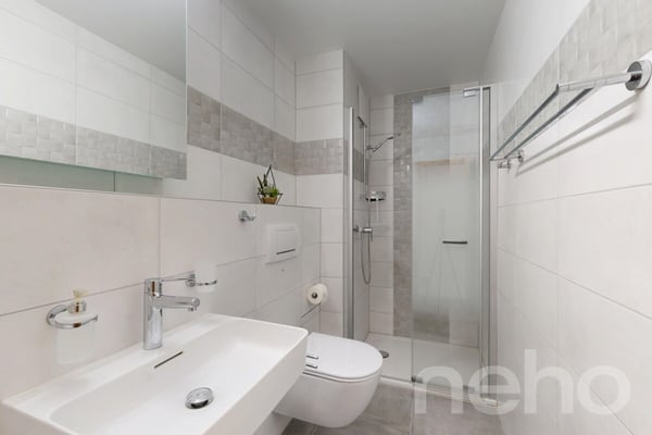 Spacieux 5.5 pièces de 160 m² au calme avec vue dégagée 9