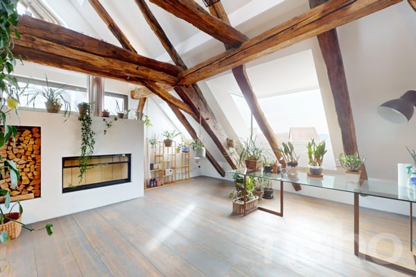 Einzigartiges Bijou mit modernem Wohnkomfort und grosser Terrasse 3