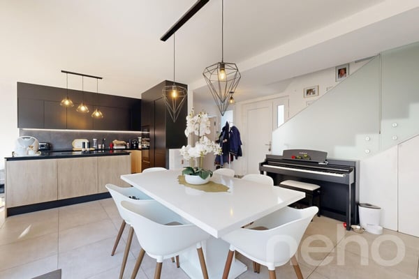 Superbe maison mitoyenne avec grande terrasse 5
