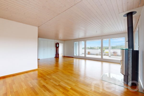 Ein Wohntraum auf einer Ebene: Attika mit Lift in die Wohnung 3
