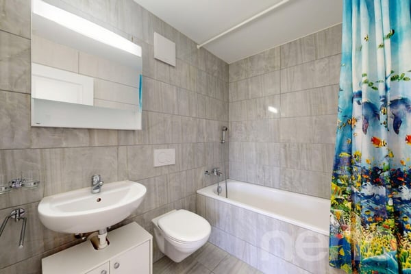 Charmant appartement 4.5 pièces au c?ur du Vully 10