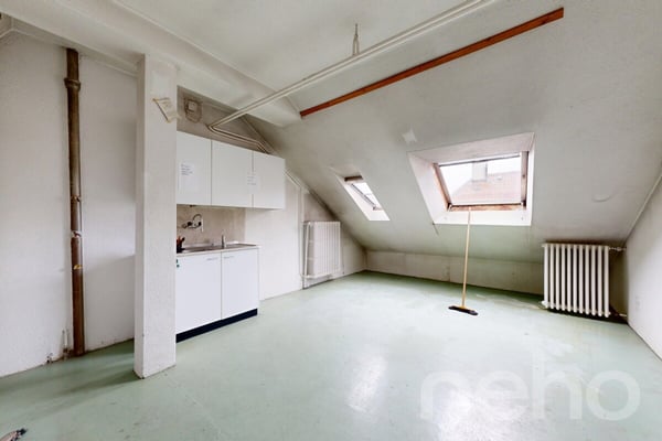Rendement ? 400 m² habitables, fort potentiel, emplacement idéal 10
