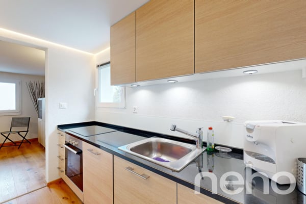Magnifique chalet et son studio privé - Les Giettes 12