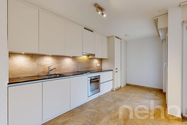 Appartement rénové de 3,5 pièces avec grande terrasse privée 4