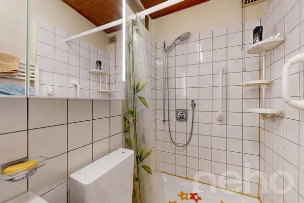Immeuble 6 lots ? Bon rendement, prêt à exploiter 10