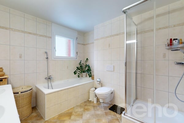 Grand Duplex avec Jardin privé à La Chaux-de-Fonds, 4.5 pièces 9