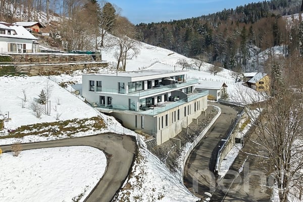 Wohnen mit Aussicht stilvolle Terrassenwohnung in Plasselb 3