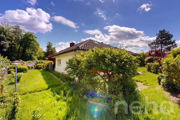 Grosszügiges 6.5-Zimmer-Einfamilienhaus mit grossem Garten 10