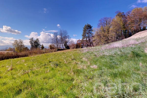PARCELLE UNIQUE EN LISIÈRE DE FORÊT AUX PORTES DE LAUSANNE 7