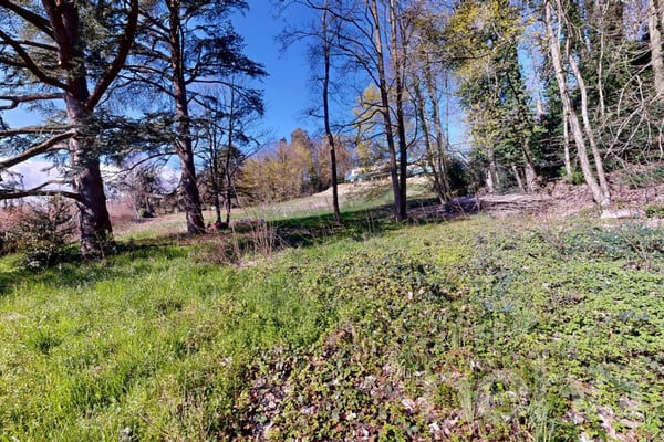 PARCELLE UNIQUE EN LISIÈRE DE FORÊT AUX PORTES DE LAUSANNE 10