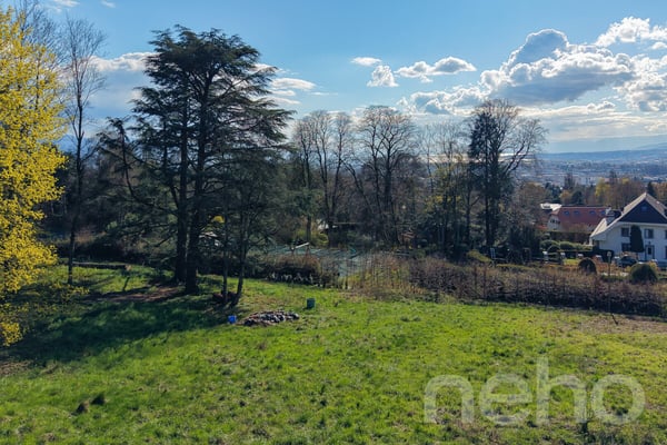 PARCELLE UNIQUE EN LISIÈRE DE FORÊT AUX PORTES DE LAUSANNE 11