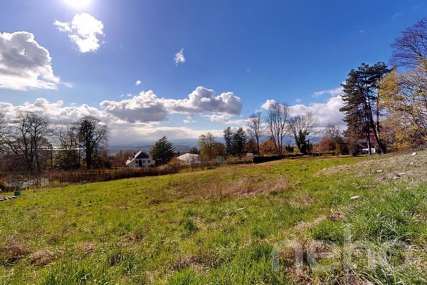 PARCELLE UNIQUE EN LISIÈRE DE FORÊT AUX PORTES DE LAUSANNE 5