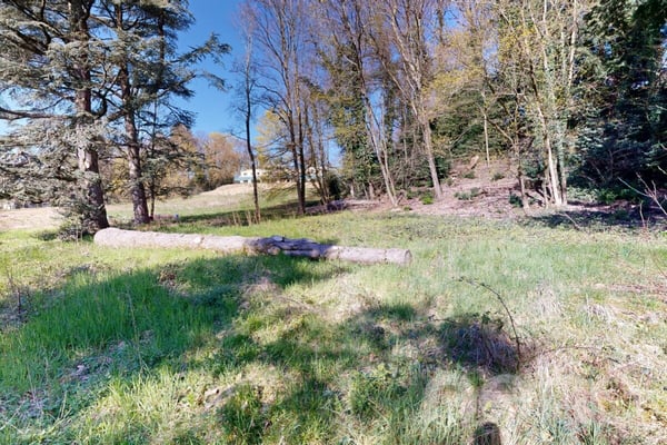 PARCELLE UNIQUE EN LISIÈRE DE FORÊT AUX PORTES DE LAUSANNE 9