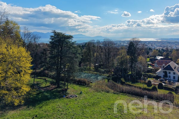 PARCELLE UNIQUE EN LISIÈRE DE FORÊT AUX PORTES DE LAUSANNE 1