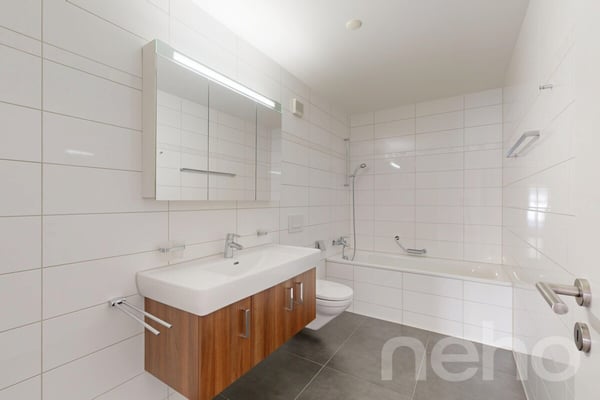 Belle vue sur le lac pour cet appartement lumineux et spacieux ! 9