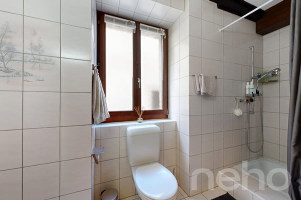 Appartement lumineux 4.5 pièces avec jardin ? Quartier calme 10