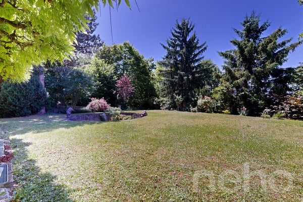 Grosszügiges 7.5-Zimmer-Einfamilienhaus mit Gartenidylle in Dornach 2
