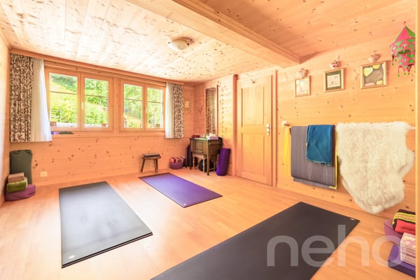 La Bonne Étoile  ? Chalet incluant 3 parcelles constructibles 8