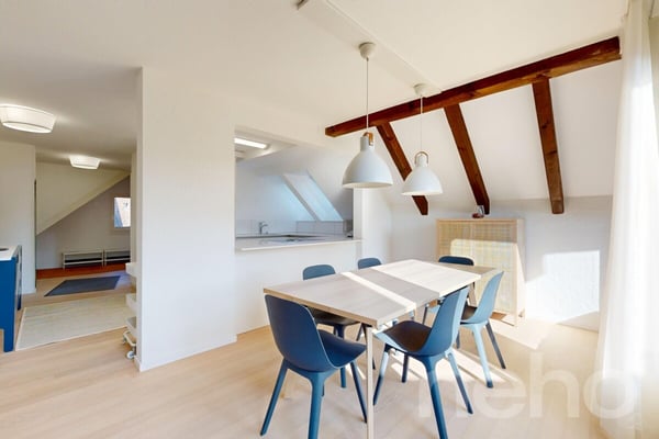 Lichtdurchflutete Dachmaisonette in ruhiger Lage von Zürich-Witikon 1