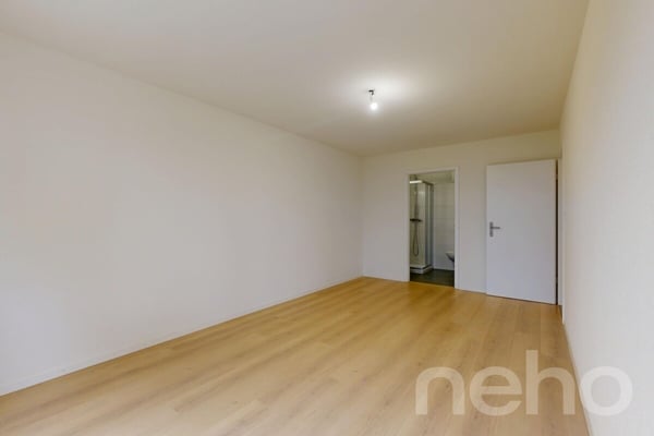 Orbe magnifique appartement avec jardin 11
