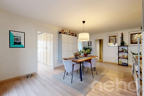 Lausanne ? Montelly : Attique traversant baigné de lumière 4