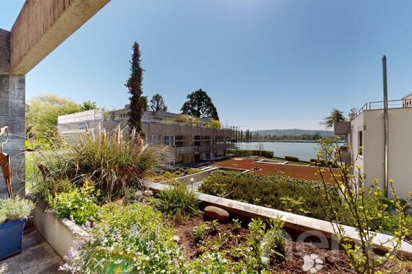Renoviertes Reihenhaus am Bielersee mit Gartenwiese 2