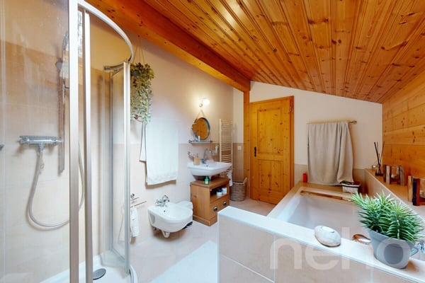 Magnifique chalet dans le hameau de Veyges 7