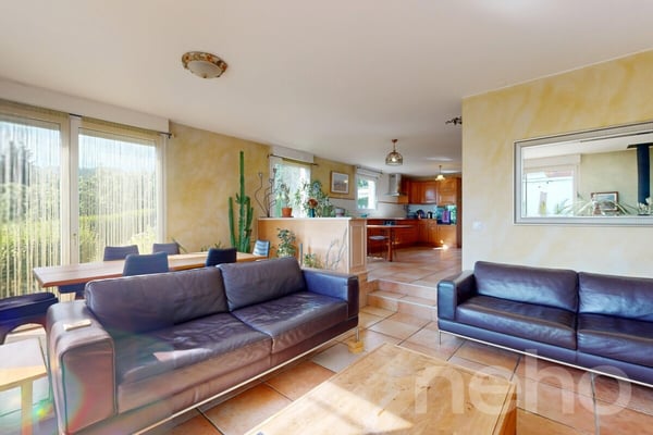 Charmante maison jumelle avec vue imprenable sur le Léman 2