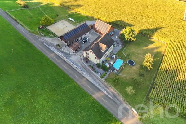 Ideale Pferdeliegenschaft mit 3 Wohnungen in Bischofszell 1