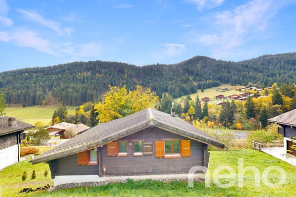 Morgins