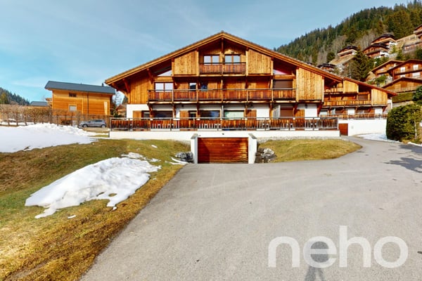 Morgins