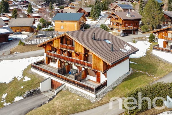 Morgins