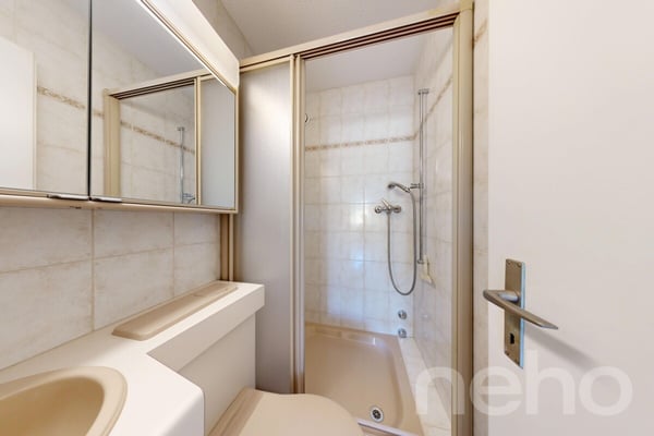 3.5-Zimmer-Wohnung in Dietikon mit Fernsicht und Potenzial 8