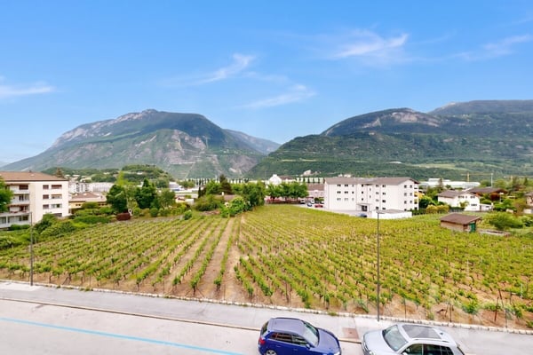 Appartement 5.5 pièces avec garage ? Opportunité d?investissement 11
