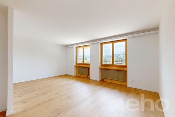 Exklusive Terrassenwohnung mit 189 m² Terrassen und Jura-Aussicht 4