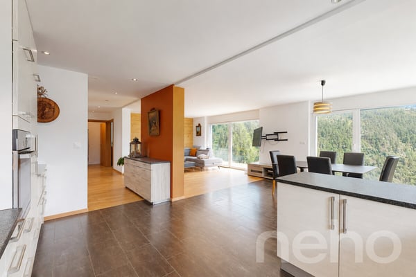 Magnifique propriété avec vue panoramique à Mase 7