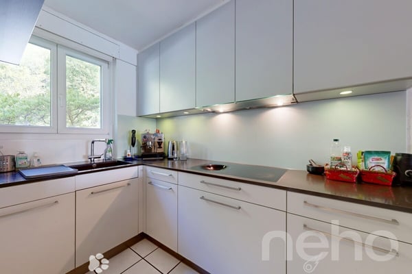 Renoviertes Reihenhaus am Bielersee mit Gartenwiese 4