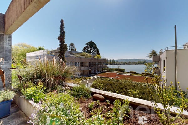 Renoviertes Reihenhaus am Bielersee mit Gartenwiese 3