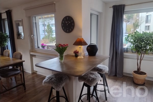 Ruhige 1.5-Zimmer-Wohnung am Fuss des Uetlibergs 5