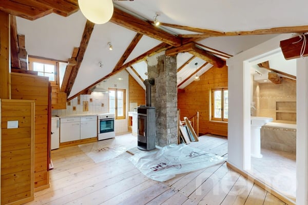 Superbe duplex traversant 11